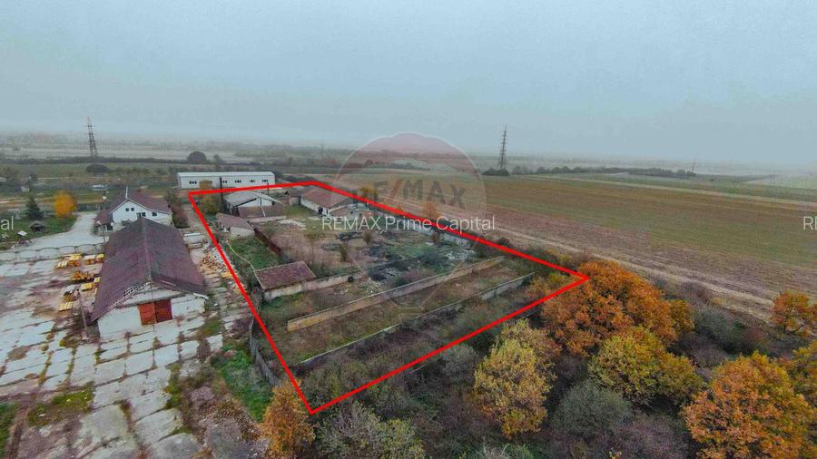 Teren 7500mp și construcții de vânzare, Tilecuș - 2