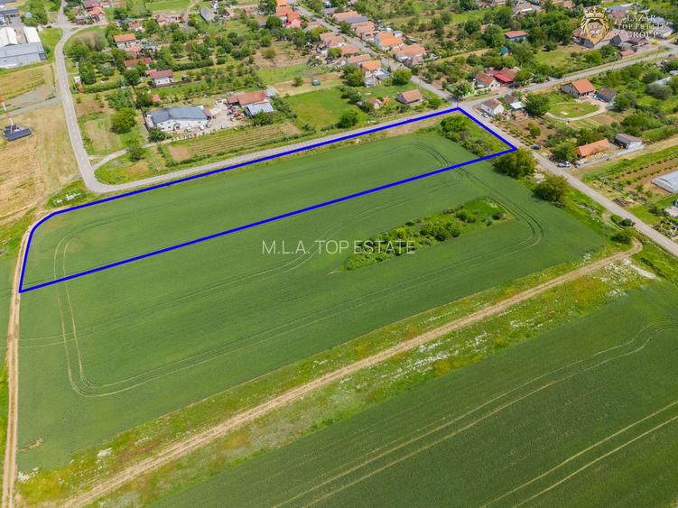 De vanzare teren intravilan Minis - 5