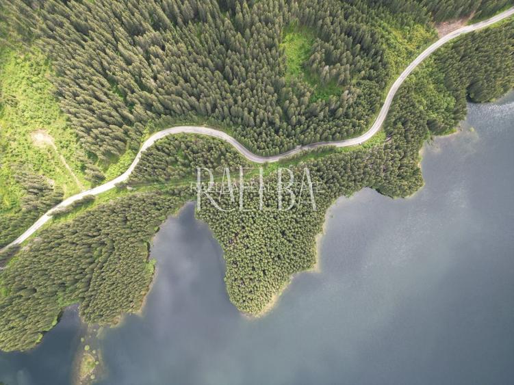 7831mp Padure | 1200mp construbili | 5.min Partie Transalpina | 177m Lac Vidra - 4