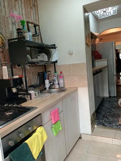 Apartament 3 CAMERE, CU GRADINA, PET FRIENDLY, zona Podu Ros