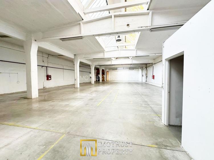 Hala industriala 675 mp, Arad central, acces TIR ideal depozit logitic - 2