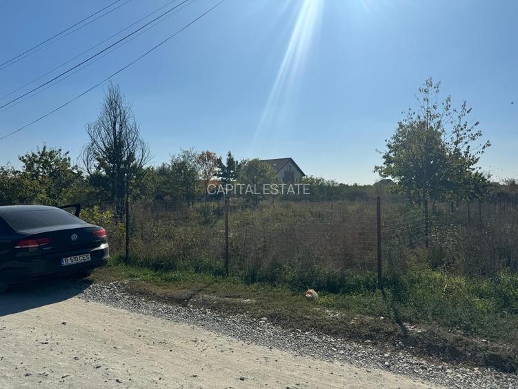 Teren Interesant Mogosoaia - 6