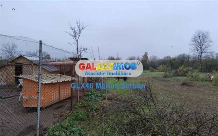 Vanzare teren intravilan Petresti - 6