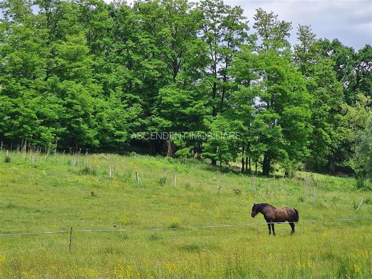 Domeniu de 30.000 mp + lac propriu +Vila protocol + Special - 14