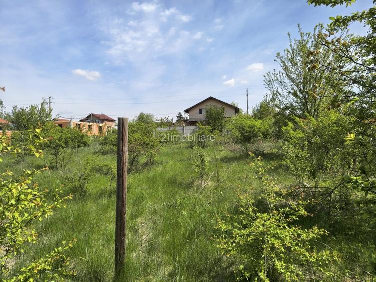 Teren intravilan 664 mp – Peris, Ilfov | Locatie linistita, ideal pentru casa - 6