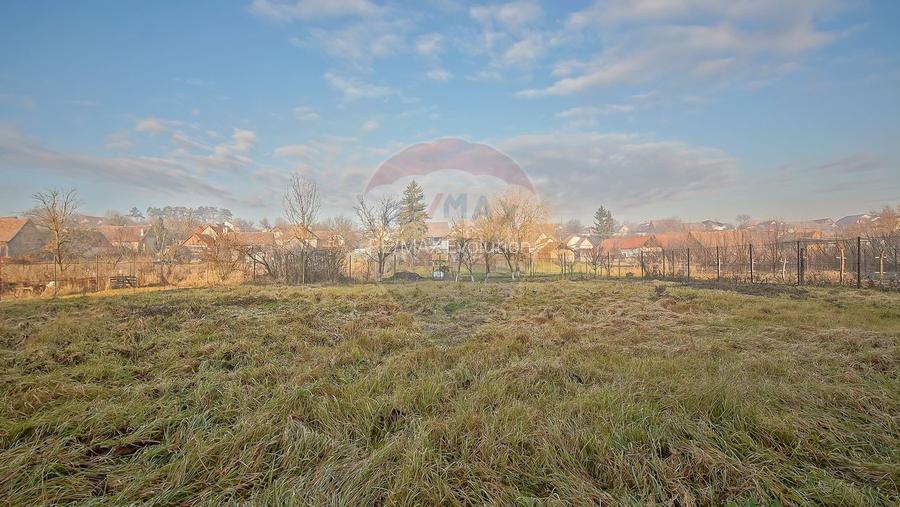 Comision 0%! 2 case Cincu, teren 2134mp, sura & curte libera - 41