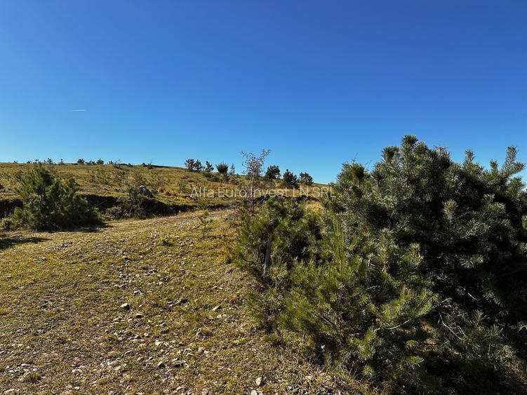 0% Comision- Teren cu constructie, langa padure-600 mp, Purcareni - 6