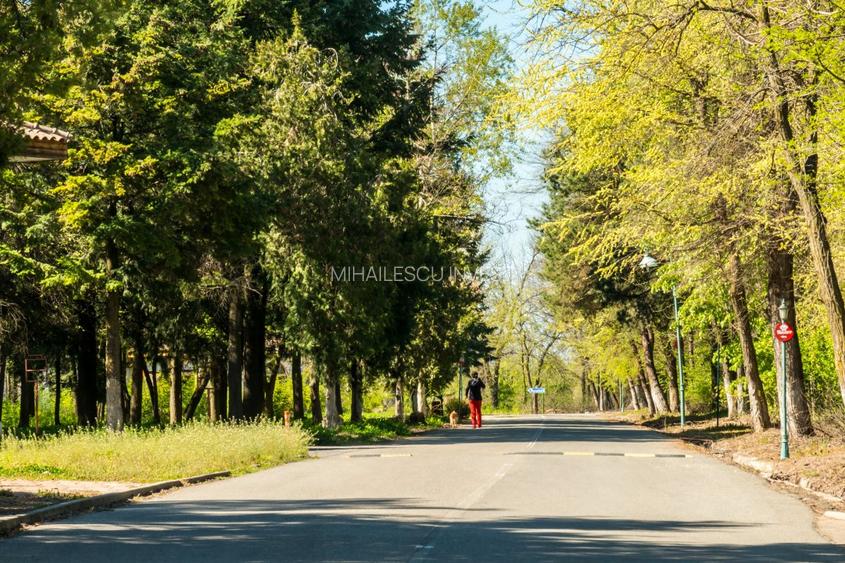 Vila visurilor tale există!Descoperă oaza de liniste în complexul Green City - 35