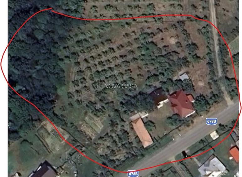 Conac cu Arhitectură Tradițională și 2,1 Hectare de Teren - 9