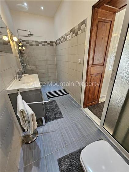 Apartament superb in Centrul Istoric - pretabil regim hotelier - 12