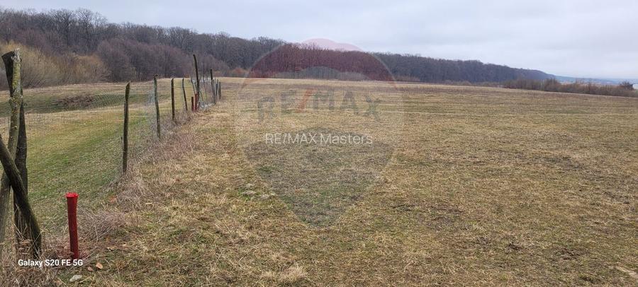 Teren 2925 mp comuna Mitocu Dragomirnei - 19