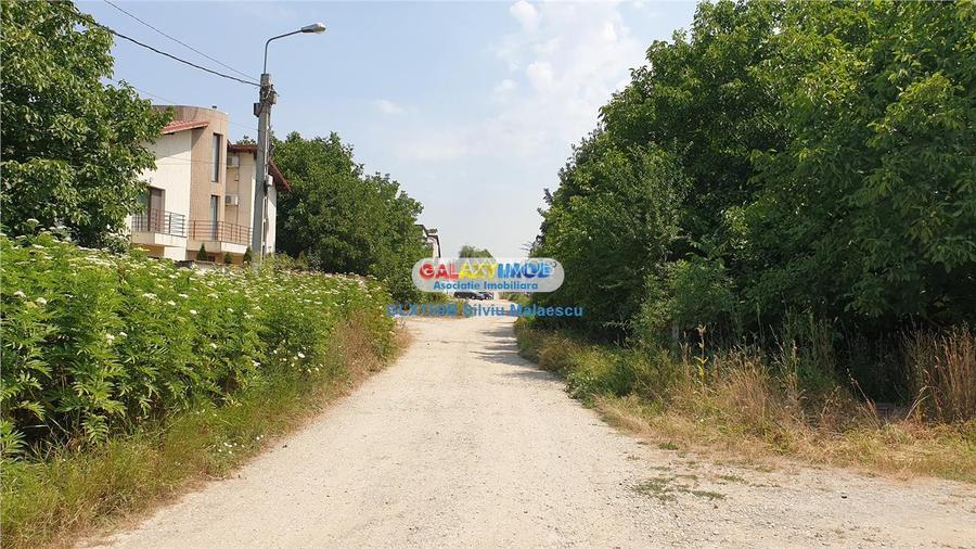 Straulesti Lac 2.506 Mp vav. 2 Cocosi - 10