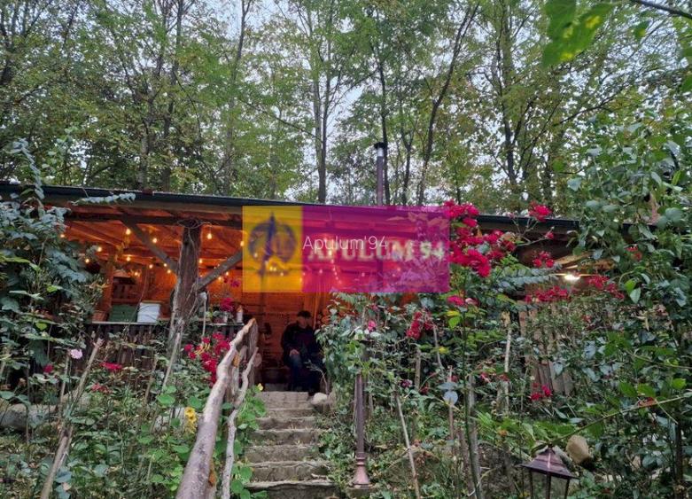 Casă de vânzare în Provița de Jos - 21