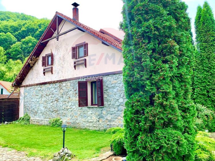 Pensiune cu 13 camere de vânzare in Bulz - 43