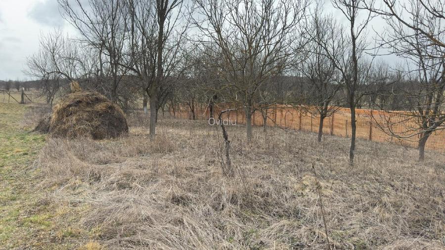 Vand 1064 mp teren intravilan Barlea judetul Cluj - 4