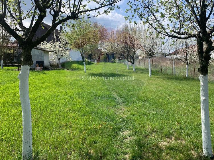 De vânzare casă cu 3 camere și teren 1090 mp în Ant - 9