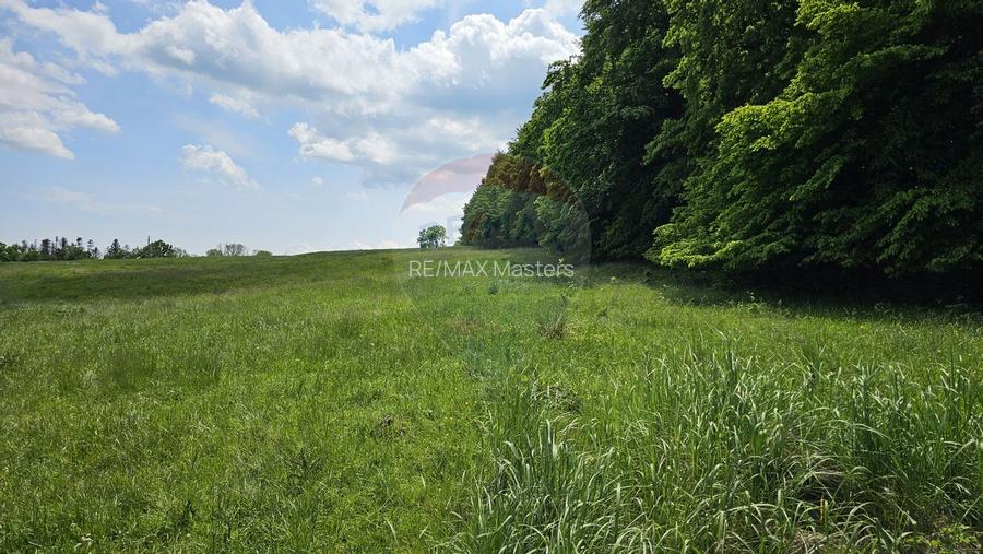 Teren Ilisesti  7000mp extravilan/ DN 17, Suceava - 15