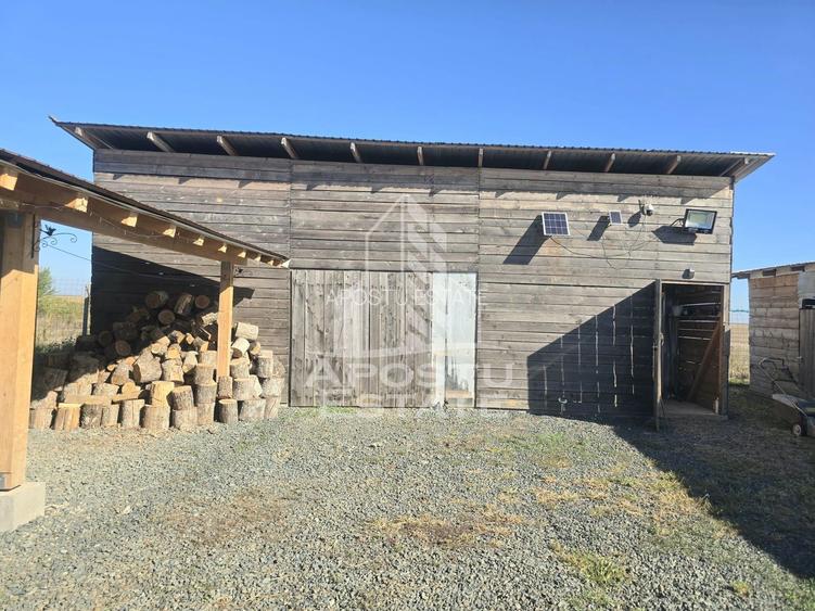 Fermă cu casa, zero comision, in Horia - 10