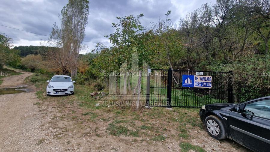 Casa individuala | 120 mp | 1390 mp teren | Livada | Cetea - 14