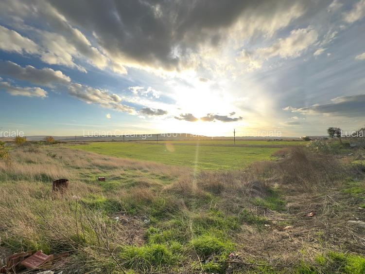 Teren si proiect, 15813mp, fata Skoda - 7