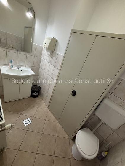 Hală,birourii/depozitare în zona Lugojului - 3