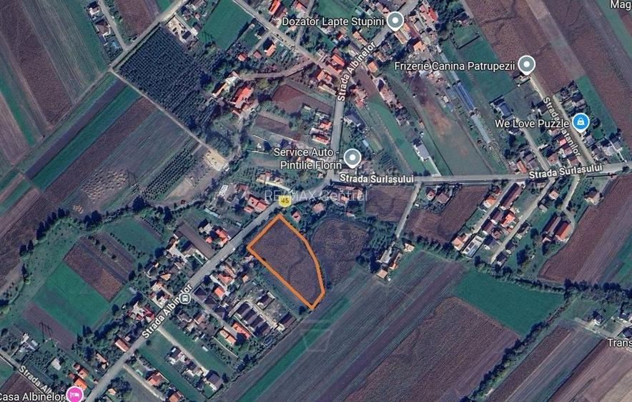 Teren intravilan 9.000 mp pentru dezvoltare rezidențială sau mixtă - 2