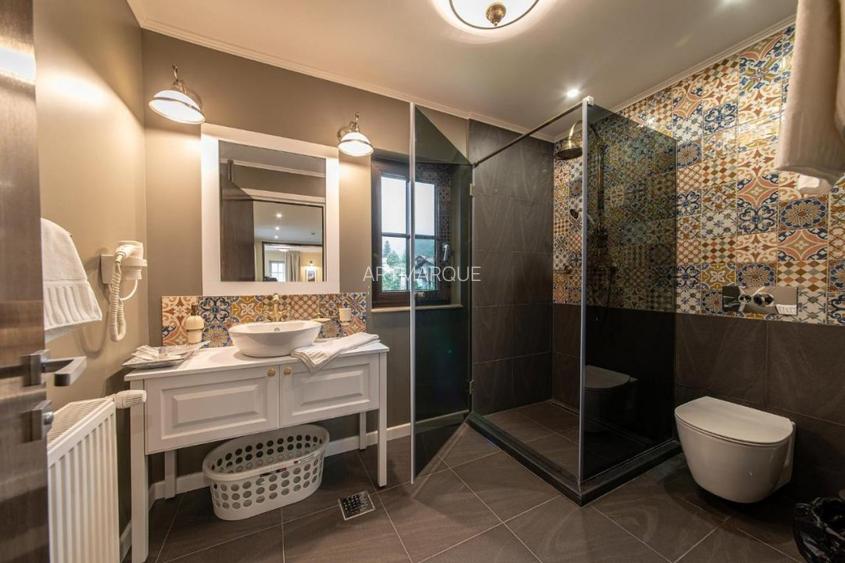 Vila turistica cu potential de neegalat - 16