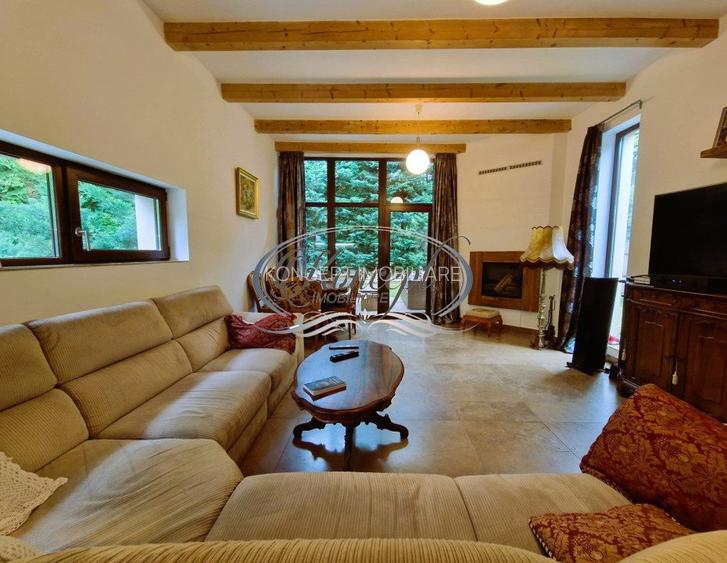 Casa deosebita in Faget - 9