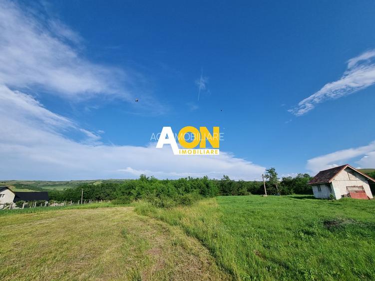 De vanzare 1974mp teren intravilan, cu utilitati, Oarda de Sus - 3