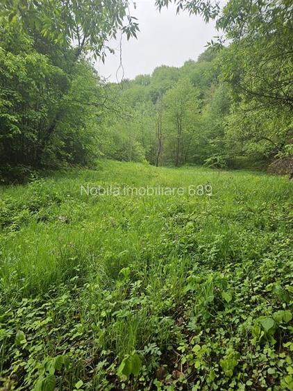 TEREN  PENTRU BUSSINESS 2842 MP DE VANZARE IN STATIUNEA  TARGU OCNA - 5