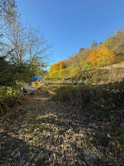 Teren intravilan 1543 mp – zona Darmanesti - 2