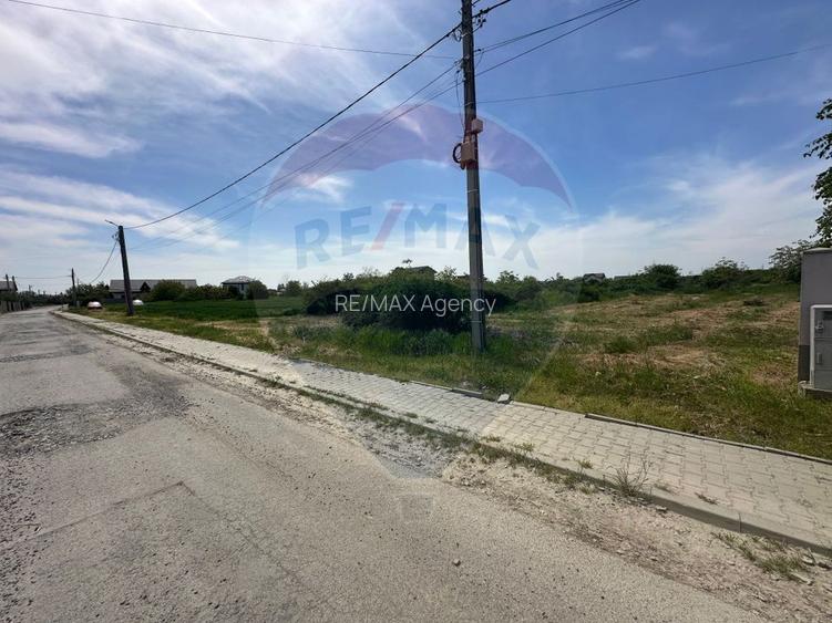 Teren 545,000mp Dragomiresti-Vale - 15