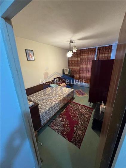 APARTAMENT 2 CAM, DRISTOR BABA NOVAC - 7
