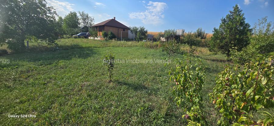 Teren cu cabanuta de lemn in Zaicesti - 9