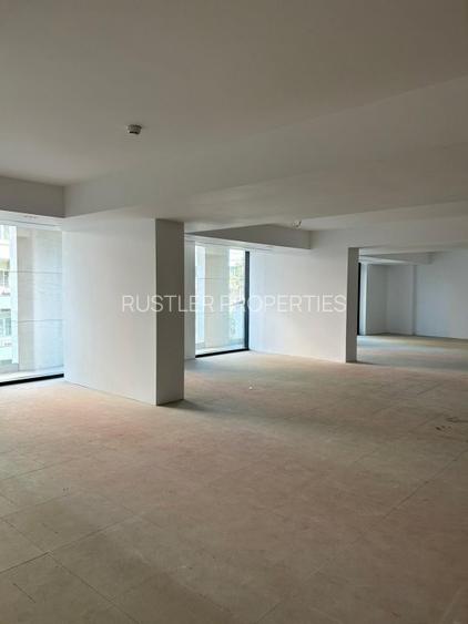 Eminescu Offices – Birouri clasa A de inchiriat pe Strada Mihai Eminescu- Romana - 13