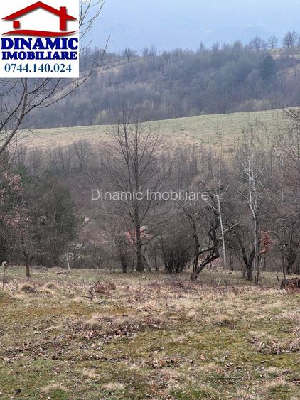 6000 MP intravilan, sat Bistrita, 9 Eur/MP - 4