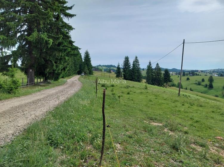 De vânzare! Parcele în Piatra Fântânele, BN, pe Drumul Romanilor, locația OPCIOA - 4