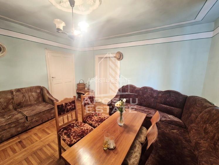 Casă individuală cu etaj, teren 3000 mp, grădină și solar – Satchinez - 11