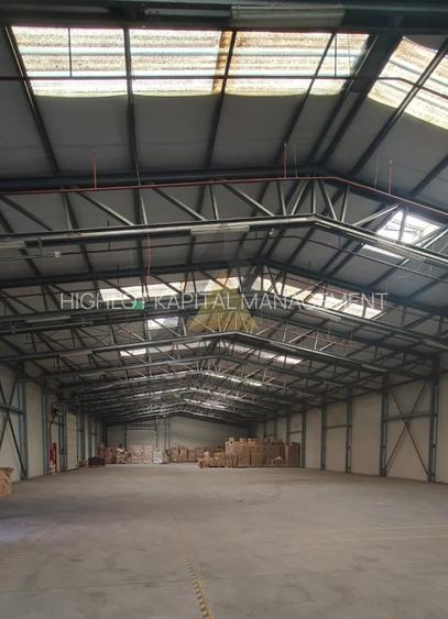 STEFANEȘTII DE JOS |  PARC INDUSTRIAL | POZIȚIONARE STRATEGICĂ - A3 -A0-DNCB - 5