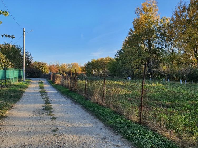 Teren de vânzare “Dumbrava Minunata” în Domnesti, Ilfov - 6