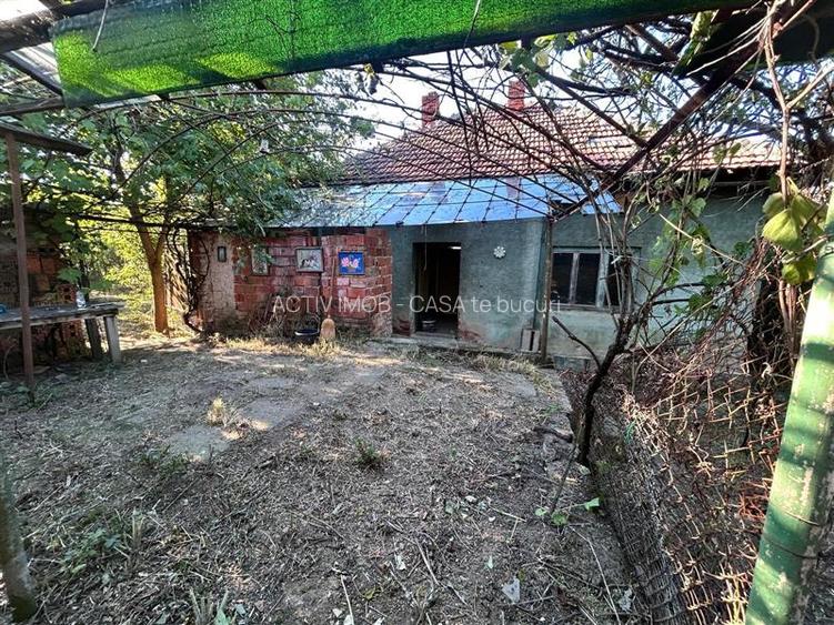 Bocsa Romana, 2 Corpuri de cladire cu Teren de 555 mp. si garaj, la sosea - 6