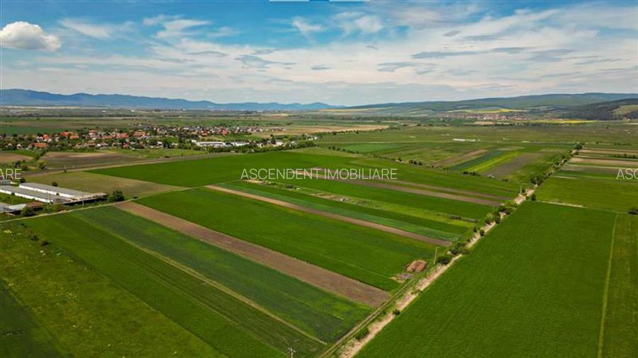 FILM! Teren extravilan 5.000 mp in zona linistita cu acces facil, Bod, Brasov - 5