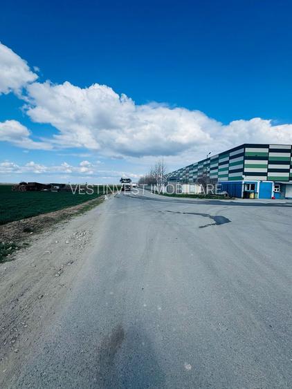 Teren extravilan 17700mp Biharia - 6