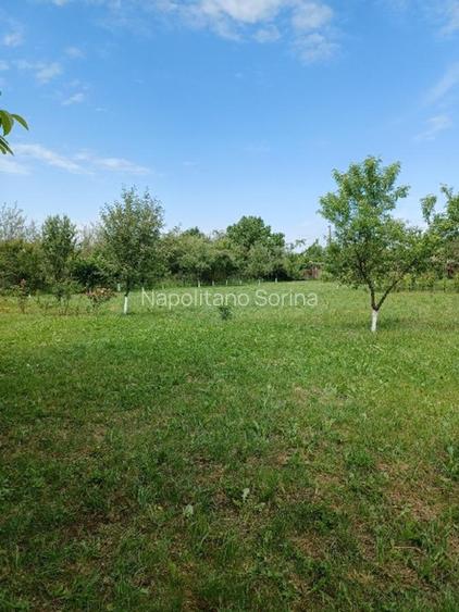 Vand 3413 mp teren intravilan - 8