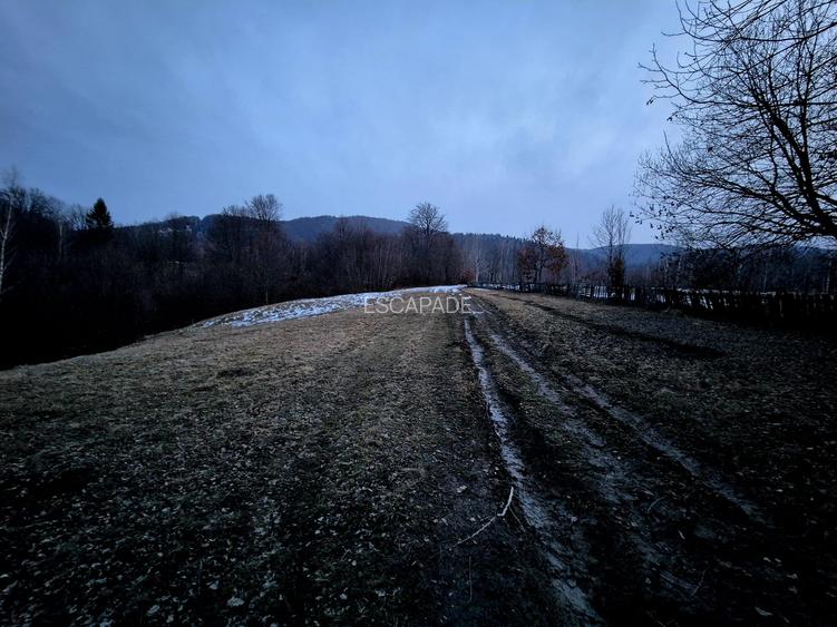 Teren extravilan 5000 mp Sinca Noua - 8