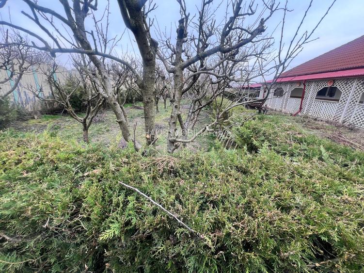 Negru Voda casa  cu teren de 1200 mp, constructie 2008 - 11