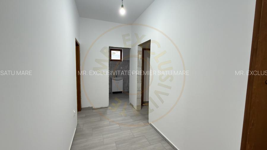 Cladire de inchiriat – ideala pentru clinica medicala sau alte afaceri - Carei - 15