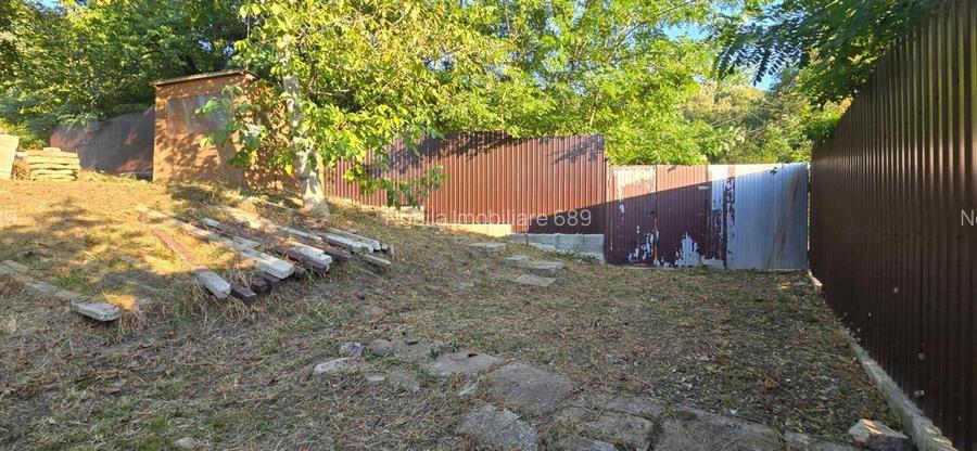 Teren intravilan + extravilan 10.537 mp – casa, livada sau ferma de familie - 9