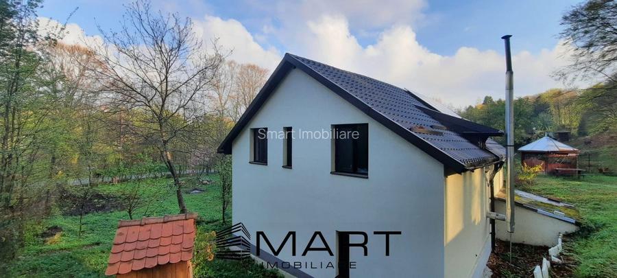 Cabana 4 camere zona Valea Avrigului - 6