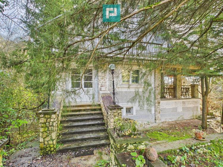 Casă P+E+M cu teren 8163 mp – Roșia Nouă (Petriș) - 2